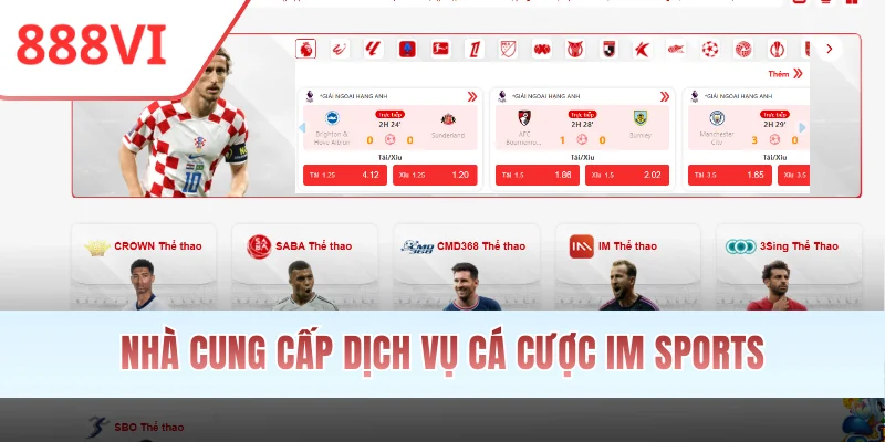 Nhà cung cấp dịch vụ cá cược IM Sports
